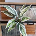plantes artificielles feuilles vertes blanches naturelles extérieures décoration balcon jardin 40cm 32cm evergreen