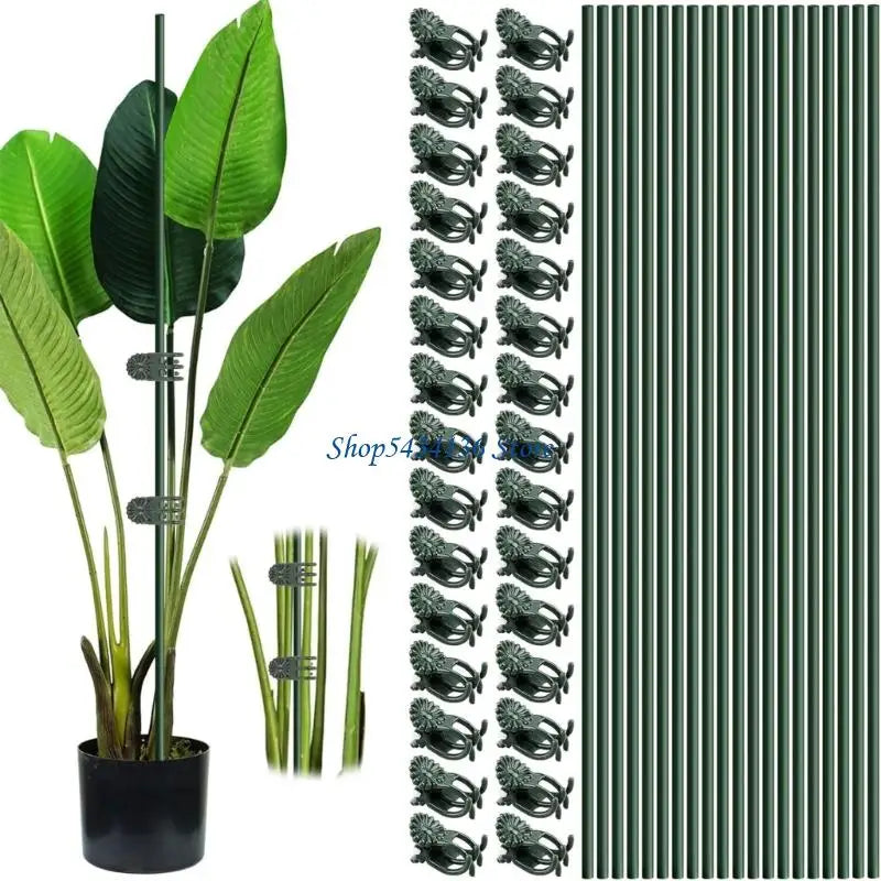 tuteur plante flexible attaches fleurs support jardin pot lys rose zamioculcas métal plastique