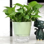 pot fleurs transparent bas blanc rose pâle vert clair moderne annuaire flexible