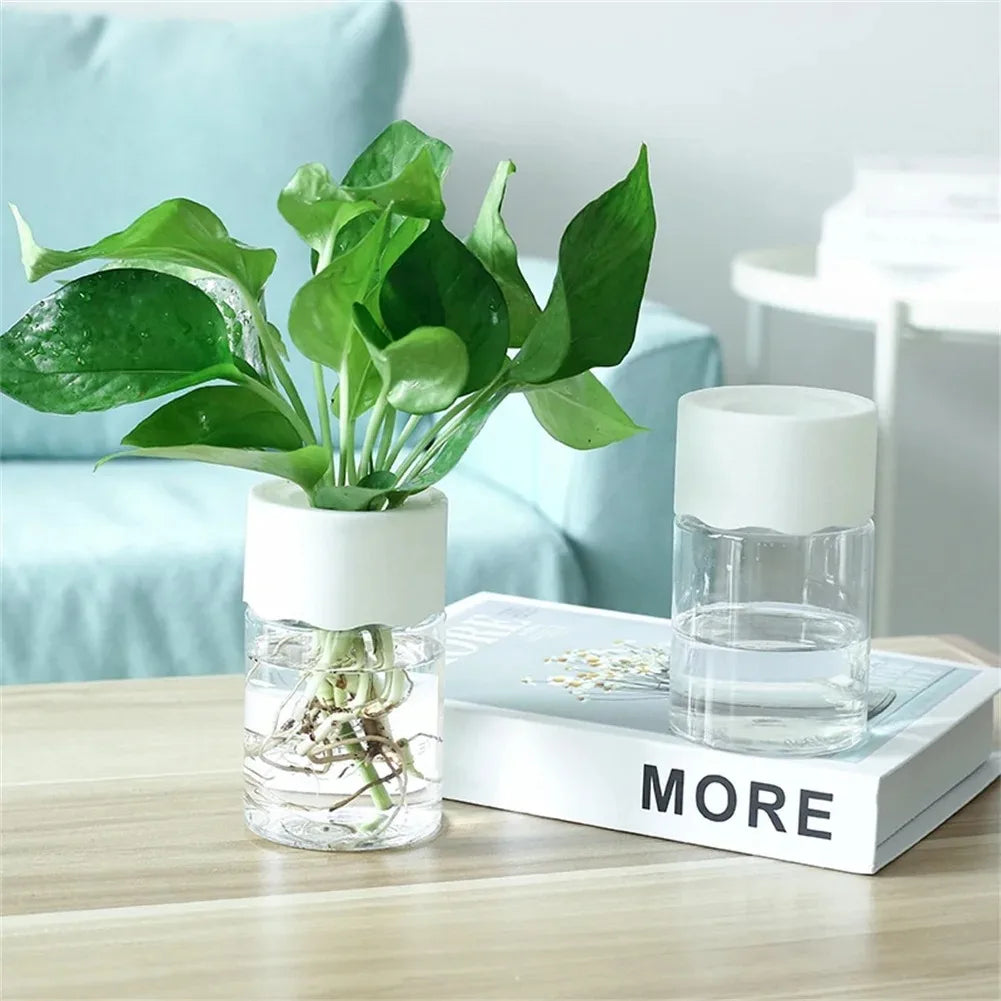 pots hydroponiques blancs transparents modernes minimalistes plantes vertes decoration interieur nature sophistication