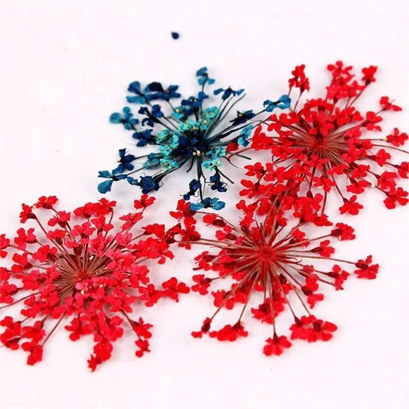 strass paillettes fleurs séchées rouge bleu vert rose violet blanc artisanal