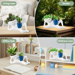 pots fleurs décoratifs blanc bleu foncé succulentes visage stylé modernes minimalistesintérieur