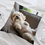 taie d'oreiller moderne 45x45cm imprimé chien blanc beige coussin décoratif polyester