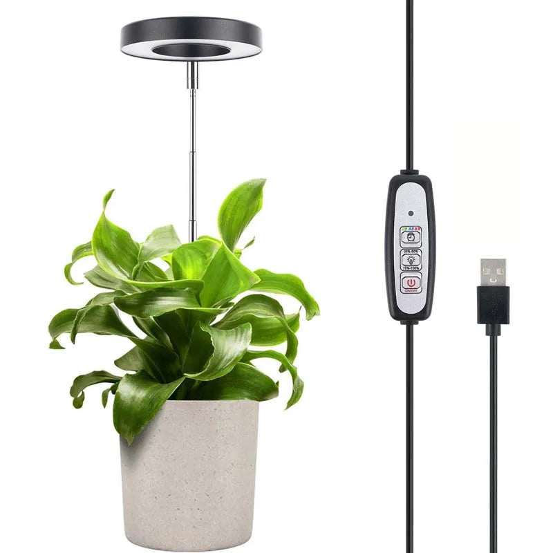 lampe led plante noire blanche réglable hauteur bouton variateur moderne minimaliste piquet câble usb