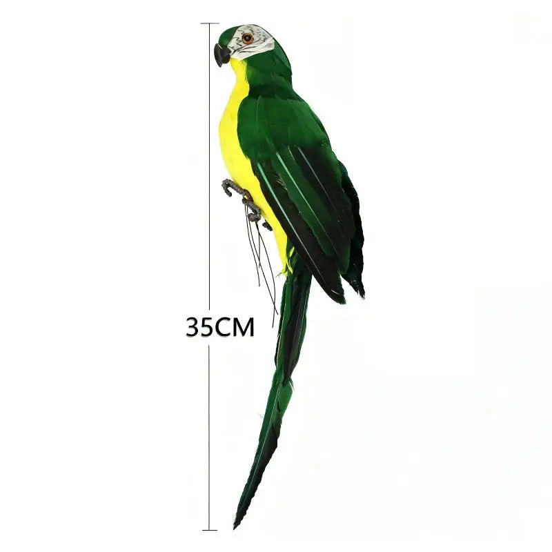 ornement animal perroquet rouge blanc vert jaune bleu rose plumes brillantes pieds extérieur intérieur