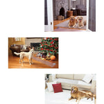 tapis d'entraînement chien adhésif led blanc rayures horizontales moderne repulsif pvc fil cuivre