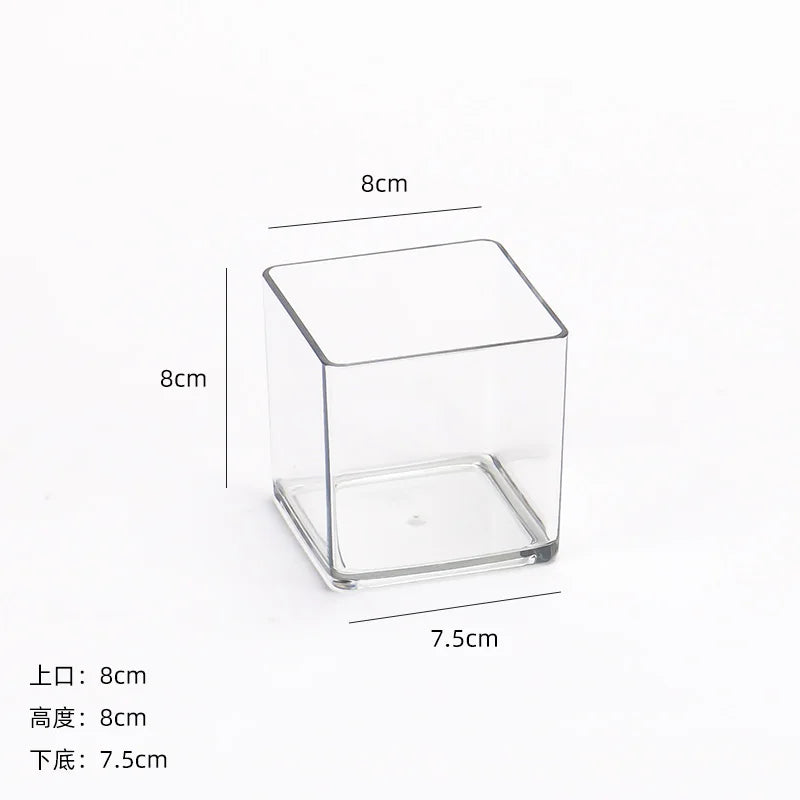 cube transparent moderne vase hydroponie plante verte sans motif minimaliste récipient acrylique
