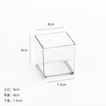 cube transparent moderne vase hydroponie plante verte sans motif minimaliste récipient acrylique