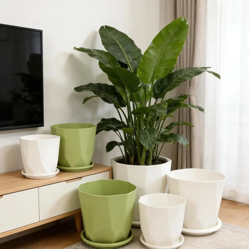 pots fleurs absorption eau succulentes intérieur décoration maison vert blanc moderne
