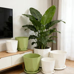 pots fleurs absorption eau succulentes intérieur décoration maison vert blanc moderne