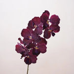 Décoration intérieure orchidée artificielle latex violette rose blanche naturelle têtes