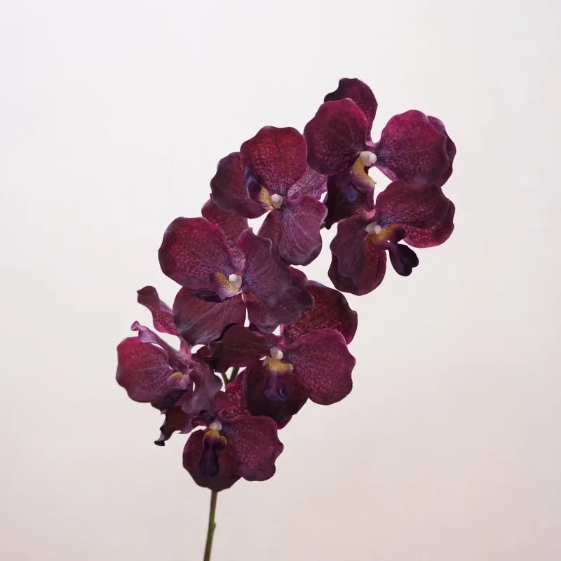 Décoration intérieure orchidée artificielle latex violette rose blanche naturelle têtes