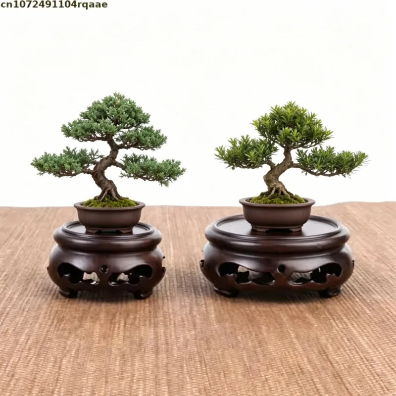 support bois traditionnel vase miniature plantes bonsaï marron sculpté décoration intérieure