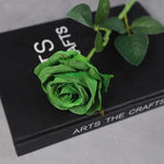 décoration intérieure moderne roses artificielles multicolores brillantes adhésif vase