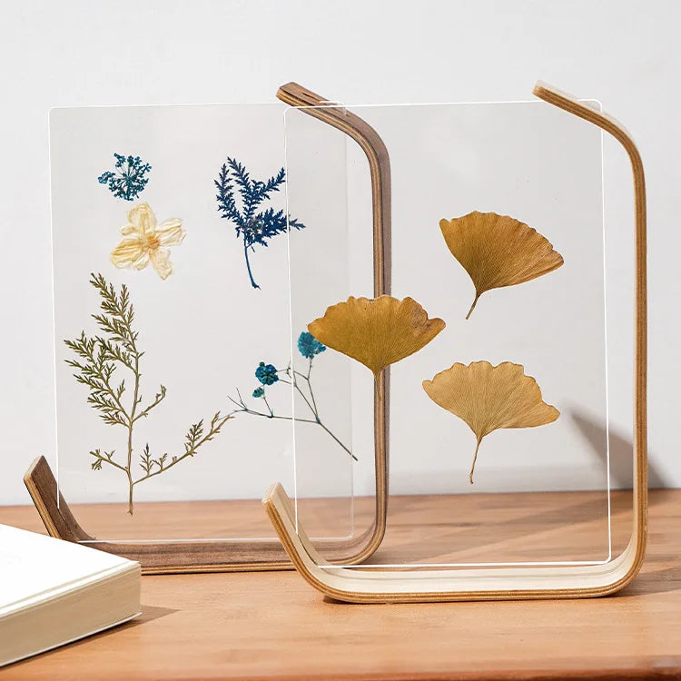 support livre transparent feuilles séchées fleurs séchées moderne minimaliste