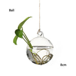 vases suspendus verre transparent motifs oiseaux coeurs plantes vertes minimaliste terrarium hydroponie