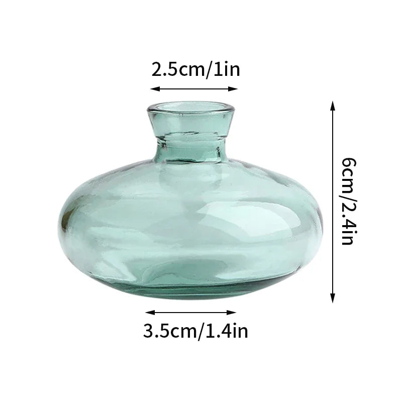 vase verre transparent moderne rose décoration intérieur hydroponique fleuri table studio