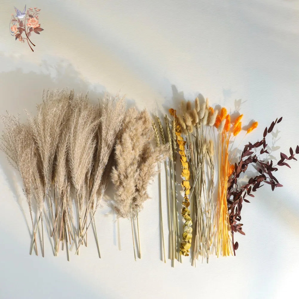 bouquet graminées séchées pampas blondes beiges vases décor maison anniversaire mariage
