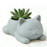 cache pot forme chat blanc noir gris moderne plante succulente doux mignonintérieur decoration