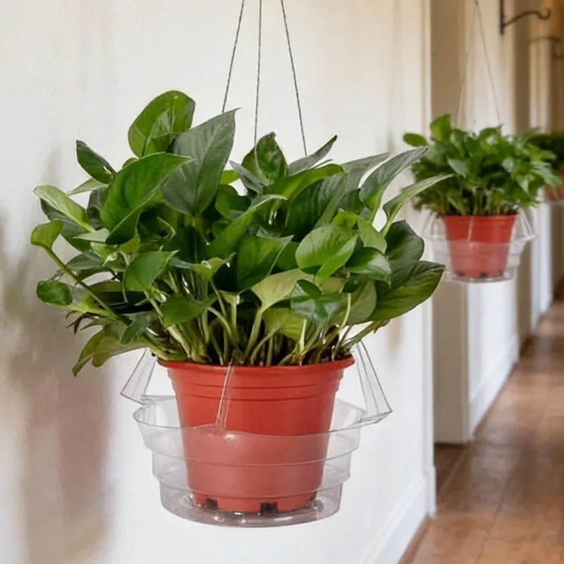 plateau suspendu cache pot transparent moderne pot fleurs crochets métalliques pratique 10 12 pouces
