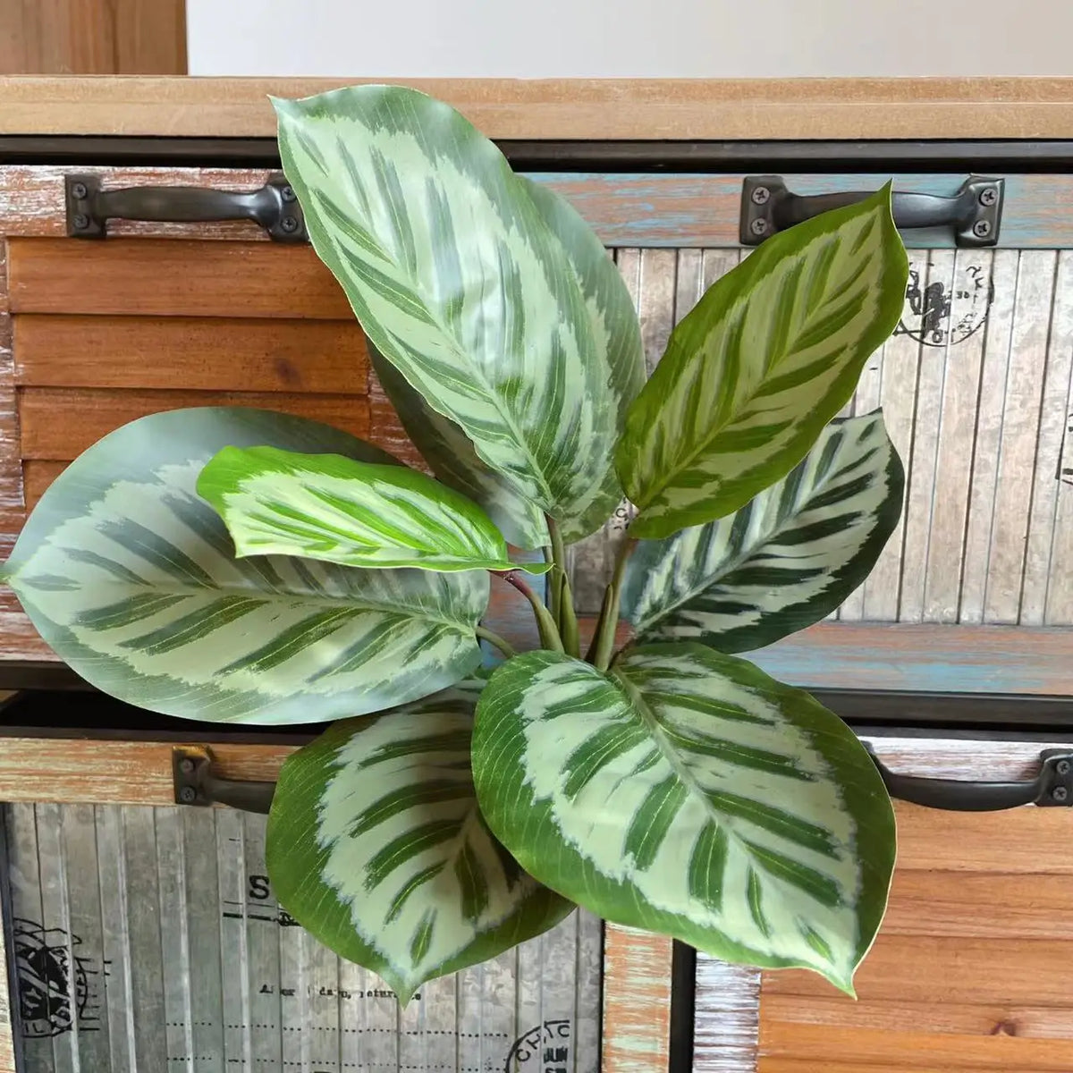 plantes artificielles feuilles vertes blanches naturelles extérieures décoration balcon jardin 40cm 32cm evergreen