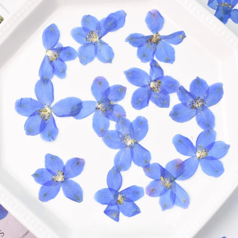 assiette blanche fleurs bleues décoration intérieure anniversaire baby shower classique événementiel festive création