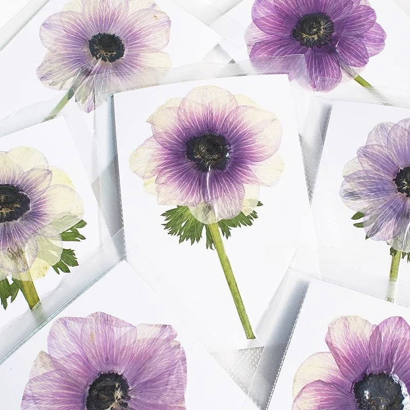 cartes postales fleurs pressées violet rouge classique adhésif intérieur anniversaire baby shower graduation