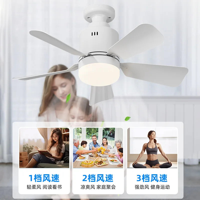 ventilateur moderne led éclairage télécommande noir blanc bois clair certifié vde ul rohs