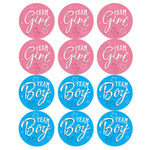 étiquettes autocollantes team girl team boy coeurs dorés motifs abstraits moderne élégants rose bleu