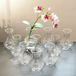 vases transparents modernes minimalistes decoratifs table set pieces différentes collections eventuelles deco