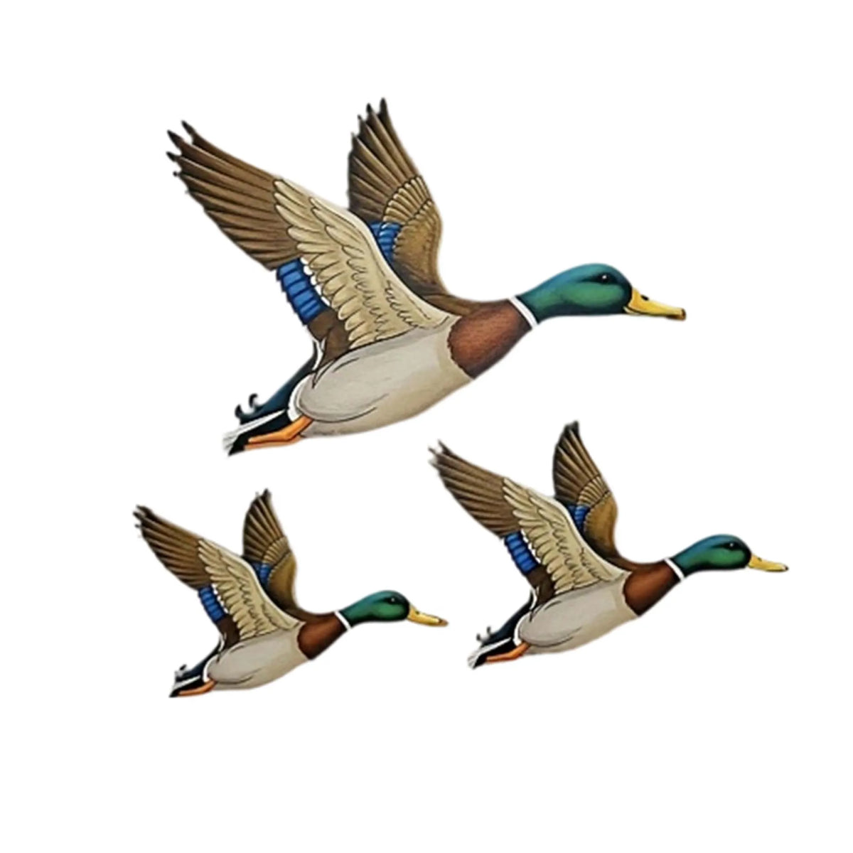 sculptures murales oiseaux canards décoration maison réaliste détaillées vert marron beige bleu jaune