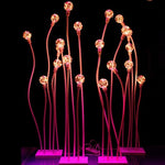 décoration mariage lumière or blanc rose sphérique moderne transparent fixée base carrée événement festif