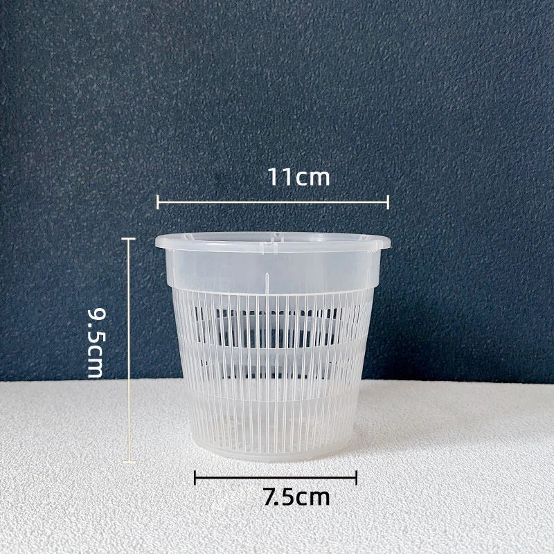 pots plastique alvéolaires orchidées plantes vertes croissance racines respirants jardin transparents
