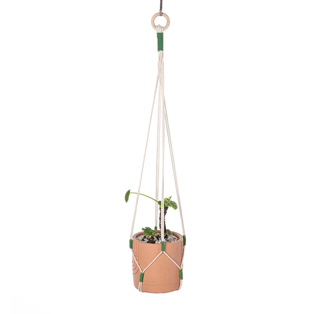 supports plante suspendus macramé boho anneaux suspension pots verts artisanaux