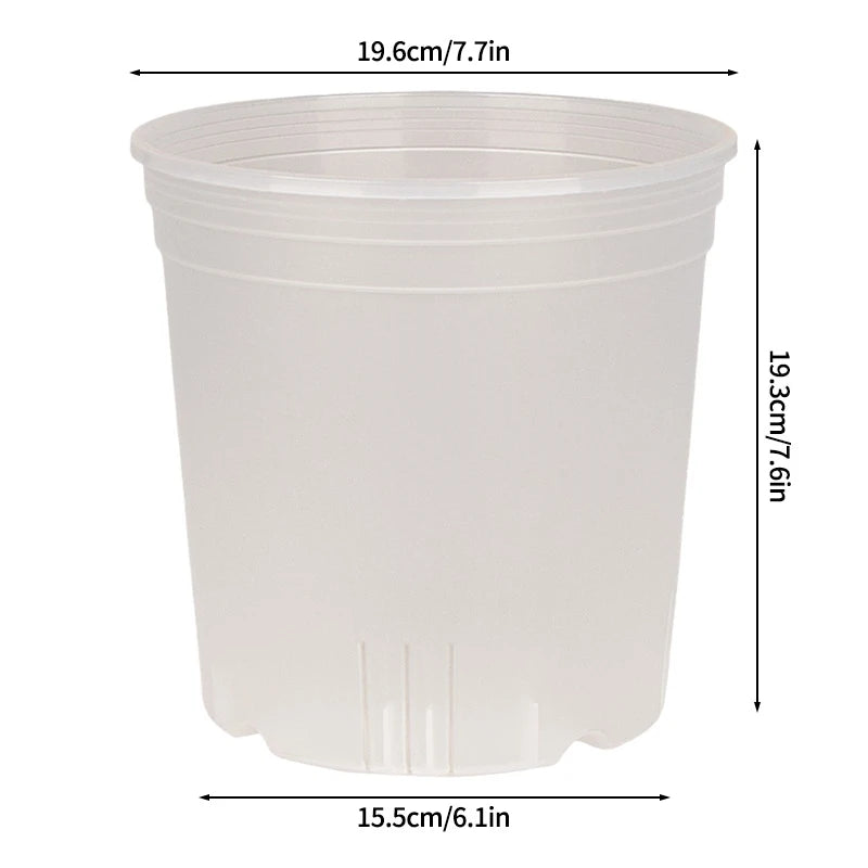 pots semis transparents blancs modernes grille drainage plantes