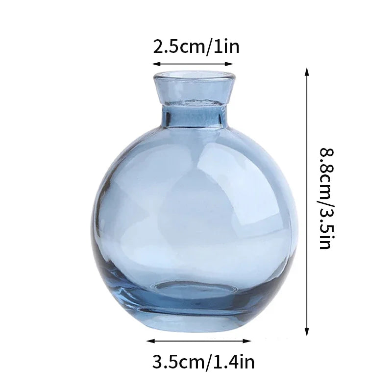 vase verre transparent moderne rose décoration intérieur hydroponique fleuri table studio
