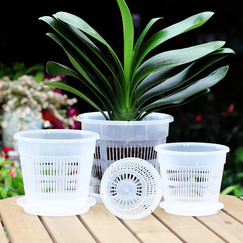 pots plantes plastique blanc translucide grille ajourée minimaliste fleur intérieur phalaenopsis orchidée mousse contrôle