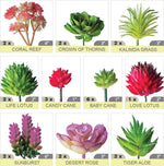 plantes succulentes artificielles vert rose violet rouge moderne décoratif extérieur exposition