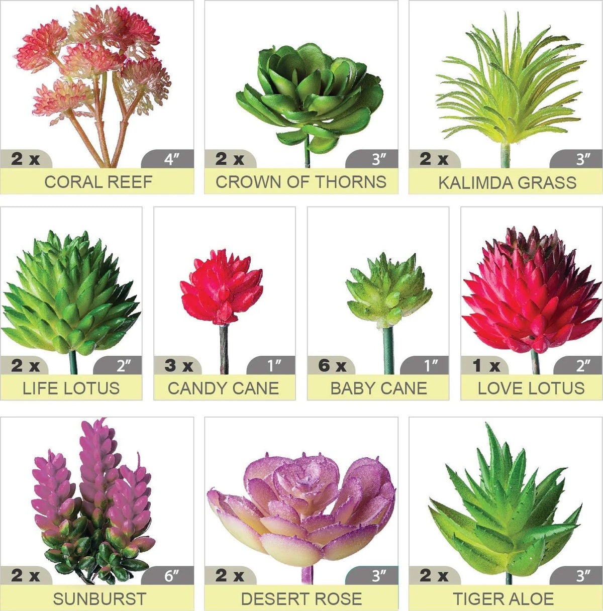 plantes succulentes artificielles vert rose violet rouge moderne décoratif extérieur exposition
