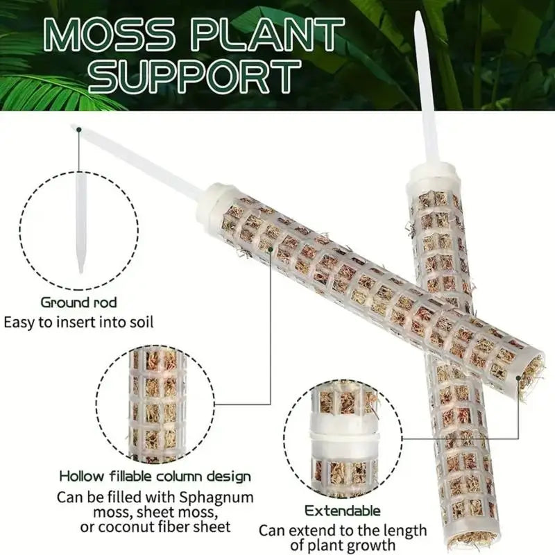 support plantes grimpantes mural blanc moderne vert noir fixe pointe métallique fonctionnelintérieur organisateuraccueilaccessoiremaison