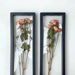 Cadre transparent fleurs séchées contemporain noir blanc doré rose rouge bleu orange vert beige