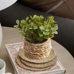 décoration intérieure plante artificielle pot osier feuilles vertes modernes salon