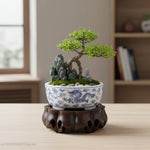 support bois sculpté artisanal marron foncé bonsaï théière vase décoration moderne