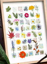 cadre photo plantes séchées fleurs collection moderne minimaliste bois naturel blanc