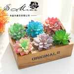 plantes succulentes artificielles vert feuilles pointues réaliste gravier boîte bois extérieur anniversaire exposantDecoration