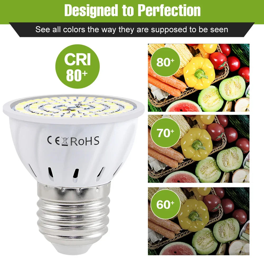 ampoules led e14 e27 gu10 b22 blanc modernes circulaires points lumineux opaques 250 499