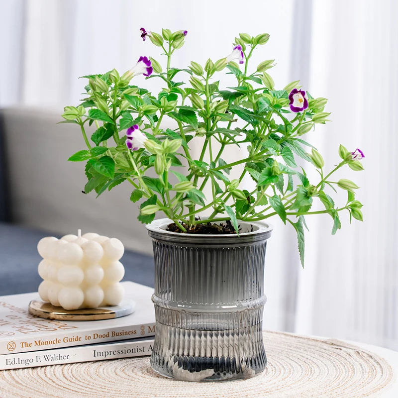 pot plantes moderne bleu vert rose rayures horizontales autoarrosant plante