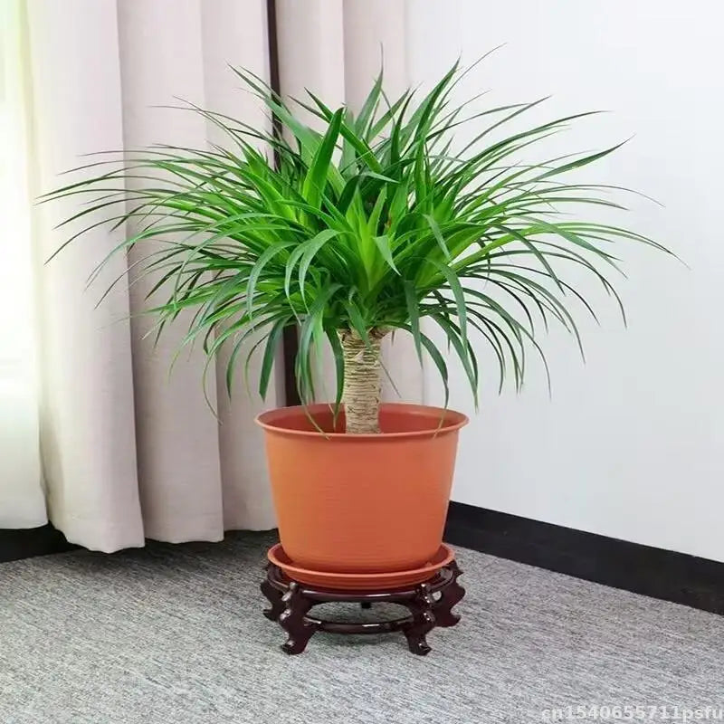 support plante bois naturel sculpté main marron foncé classique orné deco étagère cuisine serre