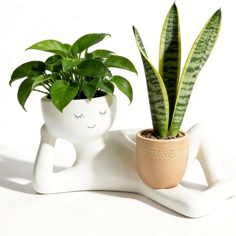 porte pots résine blanche moderne succulentes cactus plante humoristique decoration intérieure