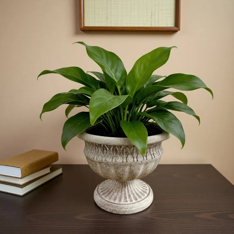 pot fleurs vintage rustique ouverture large classique gris ardoise plante verte decor jardin balconextérieur